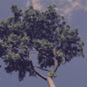 Meet your Posher, Drew